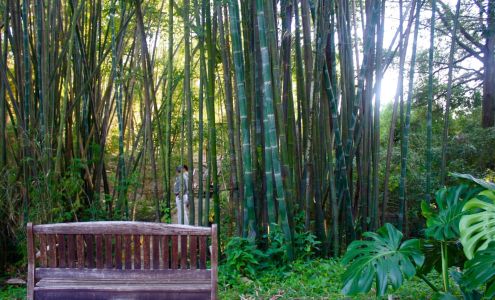 Bamboo Gardens