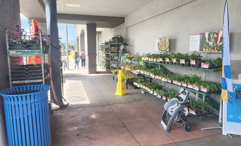 Walmart Garden Center