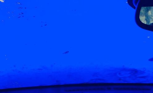 Car Wash USA Express Scottsboro