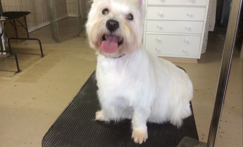 Camp Ruffcuts & Day Spa Lincoln University