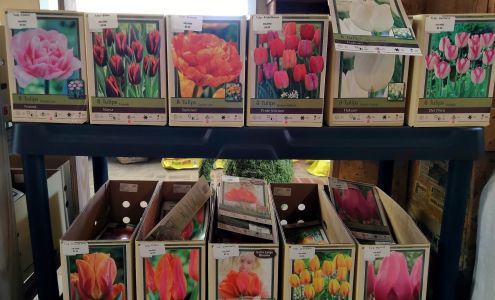 Country Arbors Nursery