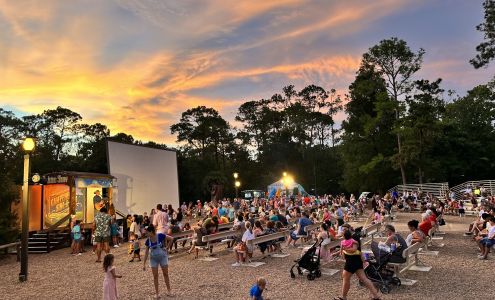 Chip 'N Dale's Campfire Sing-A-Long Bay Lake