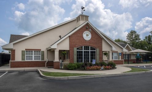 Primrose School at Gray Eagle