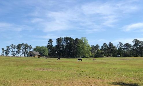 Freedom Farms Linden