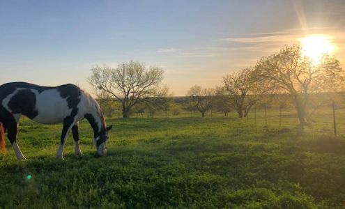 Cactus Rose Ranch Valley Mills