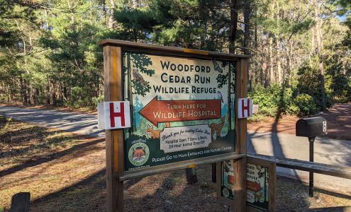 Woodford Cedar Run Wildlife Refuge Medford