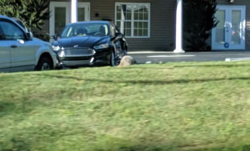 Wonderland Children's Academy