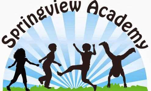 Springview Academy