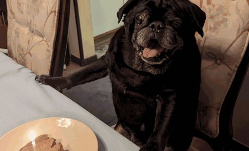 Don's Meat Market Laurens