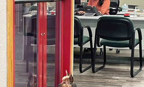 Crystal Kinsinger - State Farm Insurance Agent