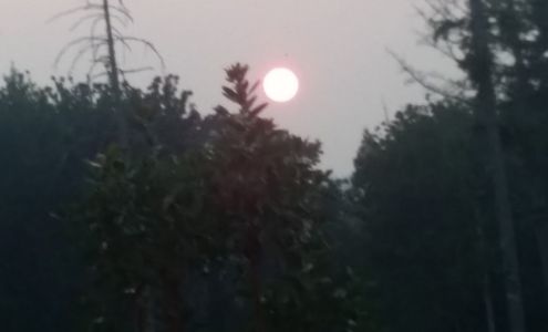 Peninsula Equine Services Olalla