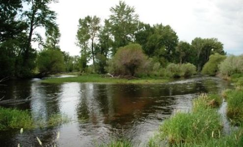 Gold West Realty Dillon