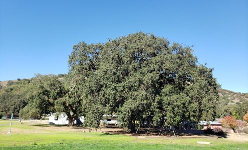 Marin Waldorf School