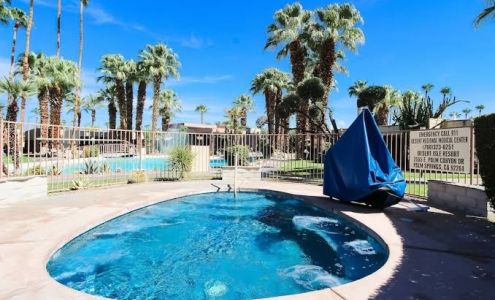 Desert Isle of Palm Springs