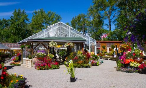 Vales Greenhouse Black Diamond