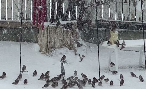 Glacier Community Health Center Cut Bank