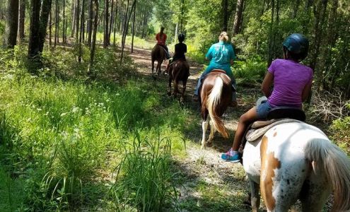 Sticky Limb Stables Ludowici