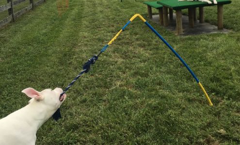 Happy Tails Day Camp Lincoln University