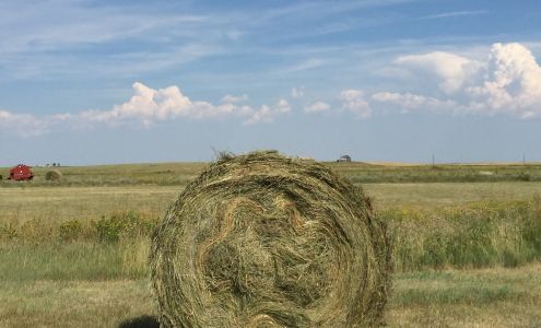 Lasater Grasslands Beef