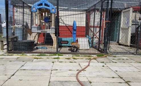 Settler?s Pond Beecher