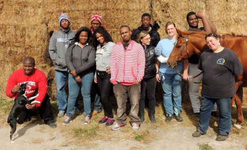 Illinois Horse Rescue of Will County Beecher