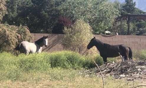 Nevada Treasure RV Resort Fitness Center