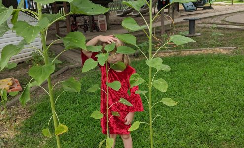 Yellow Brick Road Learning