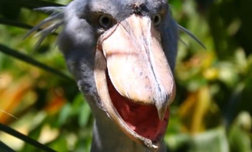 Bedway's Fresh Fruits