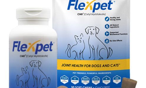 Flexcin International, Inc.