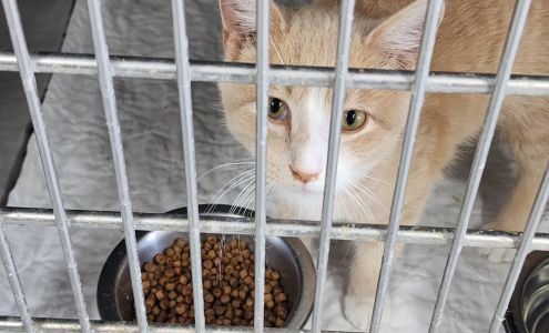 Humane Society of Fulton Co Canton