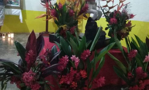 Wayside Nurseries Inc