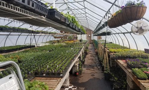 Brick Kiln Farm Teaticket