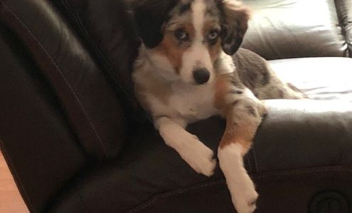 Cody at Bondy's Enterprise Toyota Enterprise