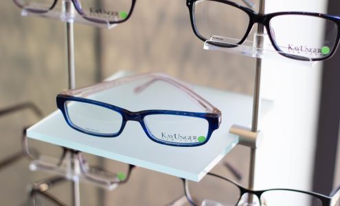 Eye Care Center Of Waverly Dr. Larry Van Daalen, OD Waverly