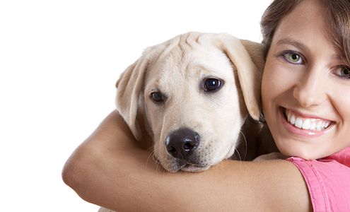 Humane Society of North Iowa