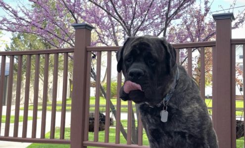 Midland Prairie Veterinary Services Colfax