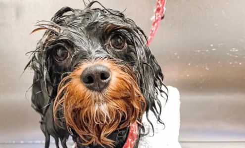 Taylorsville Groom & Board Taylorsville