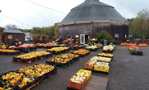 W&J Awald Farms Inc. Pumpkins, Corn maze, Christmas trees, Nursery stock North Collins