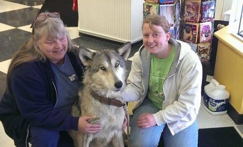 Anderson Humane Society, Inc.