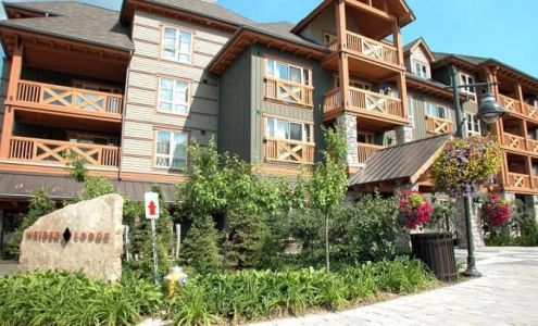 Blue Mountain Comp The Blue Mountains