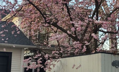 Northwest Children's Home Inc