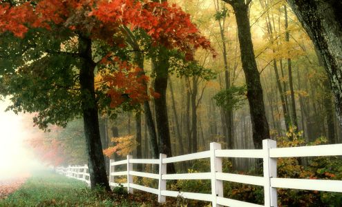 Buell Fence Fourmile