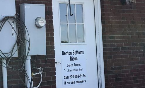 Benton Bottoms Bison