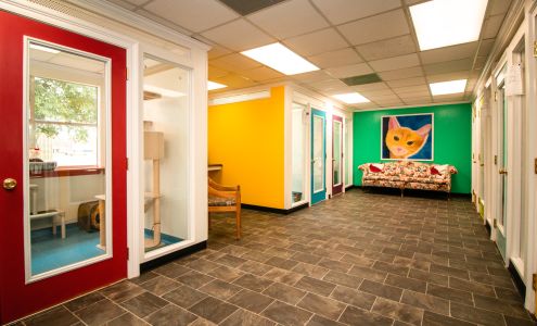 Tangipahoa Parish Animal Services