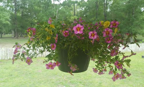 G&H OUTDOOR STORE Crowley