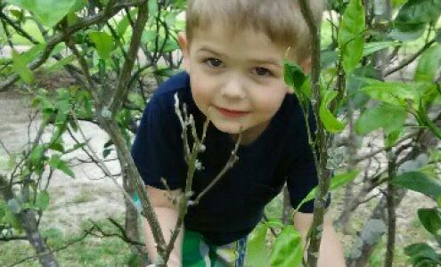 Dr john h wise optometrist Crowley