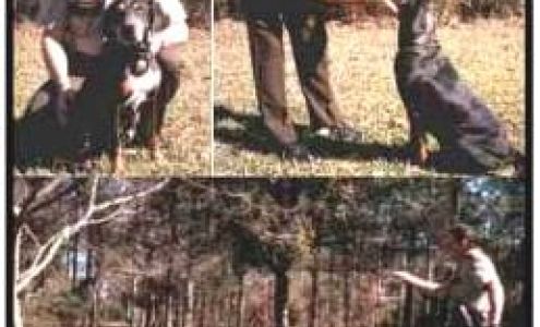 ABCANTRA Abita Springs