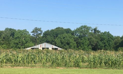 Ridemore Horse Boarding Farm & Berry Picking Destination
