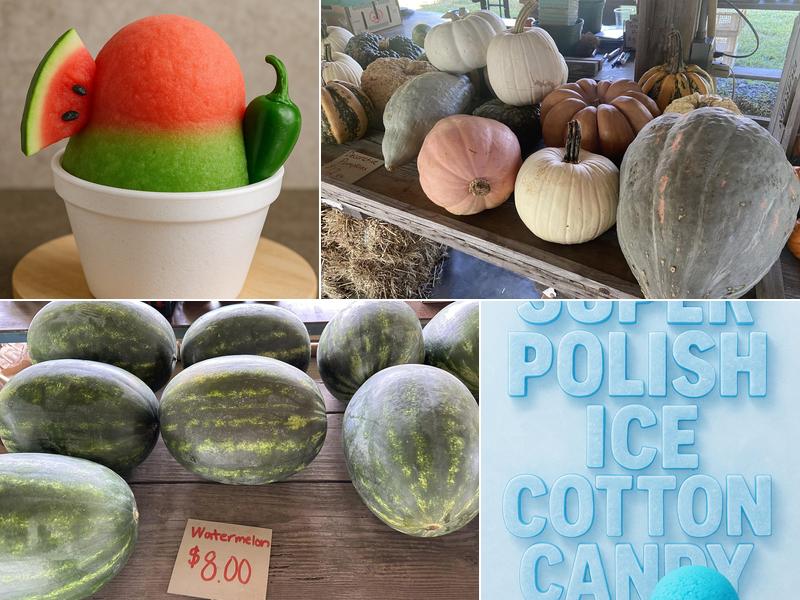 Super Polish Ice - July 8th  Day for 2023! 301 Bay Dale Dr, Arnold