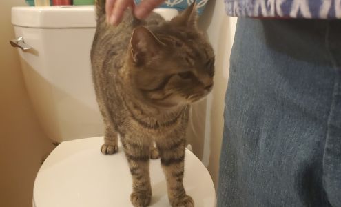 Arctic Ridge Boarding Kennels & Ark of Hope Rescue Oldtown